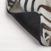Zebra, nah mousepad (Ecke)