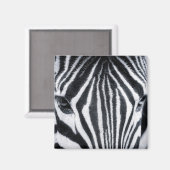 Zebra-Nahaufnahme Magnet (Vorderseite/Rückseite)