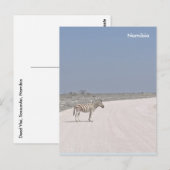 Zebra, Namibia Postcard Postkarte (Vorne/Hinten)