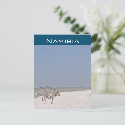Zebra, Namibia Postcard Postkarte (Stehend Vorderseite)