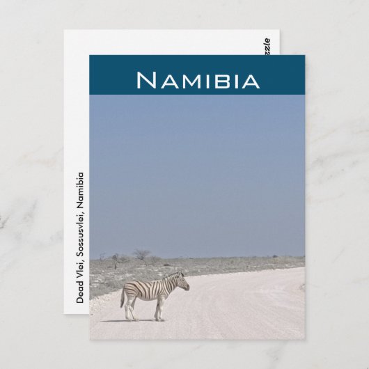 Zebra, Namibia Postcard Postkarte (Vorne/Hinten)