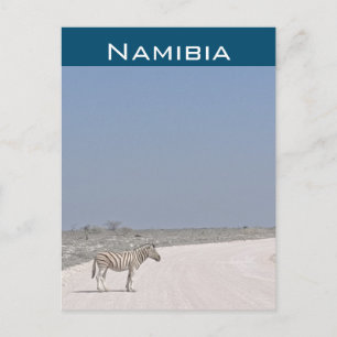 Zebra, Namibia Postcard Postkarte