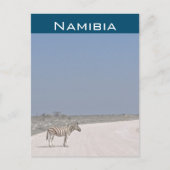 Zebra, Namibia Postcard Postkarte (Vorderseite)