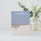 Zebra, Namibia Postcard Postkarte (Stehend Vorderseite)