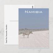 Zebra, Namibia Postcard Postkarte (Vorne/Hinten)