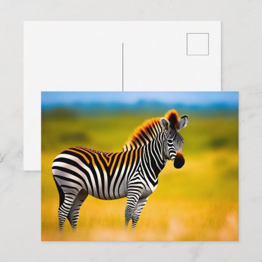 Zebra-Natur Postkarte (Vorne/Hinten)