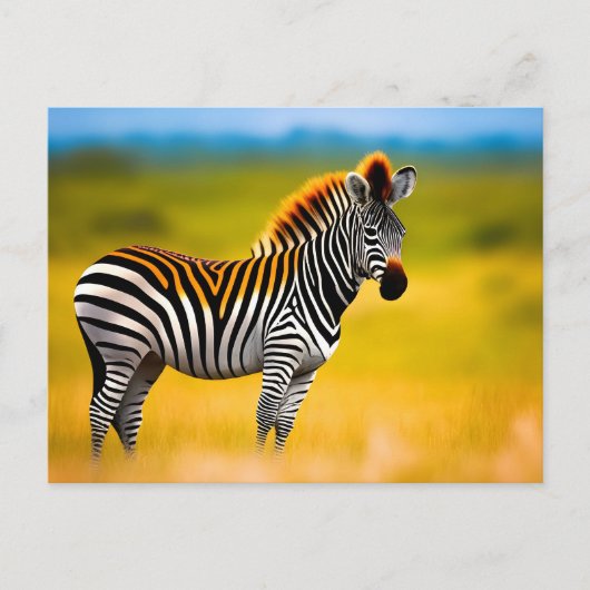 Zebra-Natur Postkarte (Vorderseite)