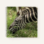 Zebra-Notebook Notizblock (Vorderseite)