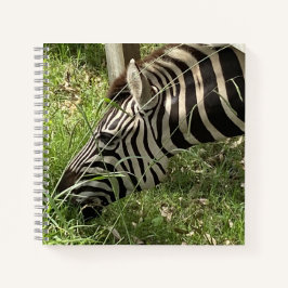 Zebra-Notebook Notizblock