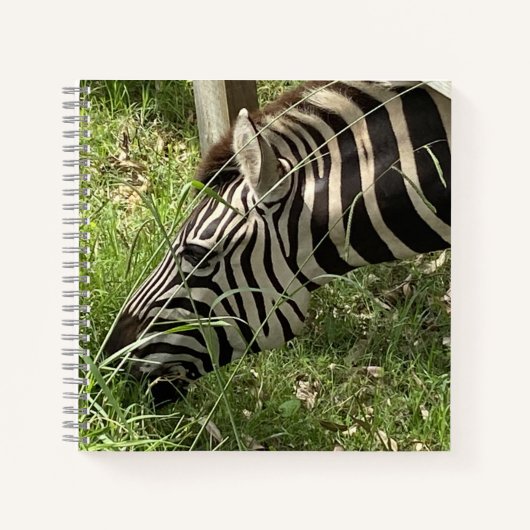 Zebra-Notebook Notizblock (Vorderseite)
