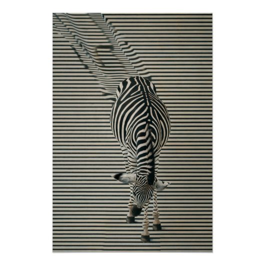 Zebra-Optik Poster | Surrealistische Tierkunst (Vorderseite)