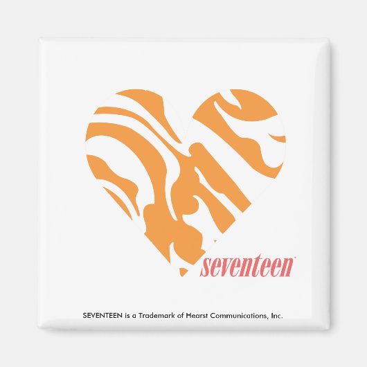 Zebra Orange 2 Magnet (Vorne)