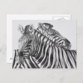 Zebra Original Pencil Drawing Postkarte (Vorne/Hinten)