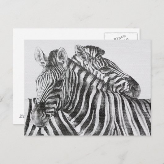 Zebra Original Pencil Drawing Postkarte (Vorne/Hinten)