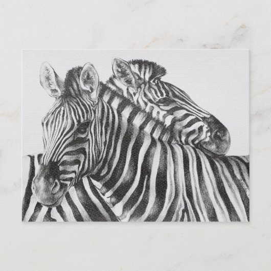 Zebra Original Pencil Drawing Postkarte (Vorderseite)