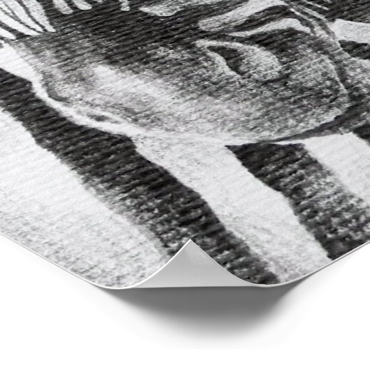 Zebra Original Stift Zeichnend Poster (Ecke)