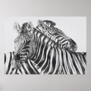 Zebra Original Stift Zeichnend Poster
