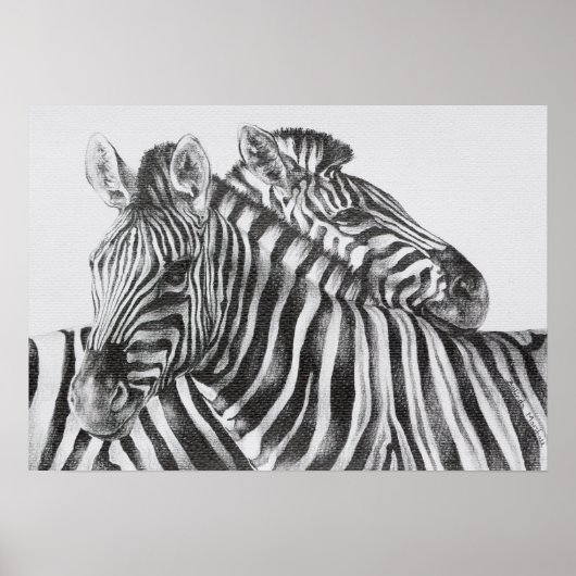 Zebra Original Stift Zeichnend Poster (Vorne)