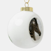Zebra Ornament (Links)