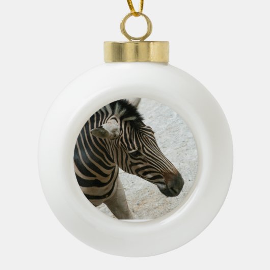 Zebra Ornament (Vorderseite)