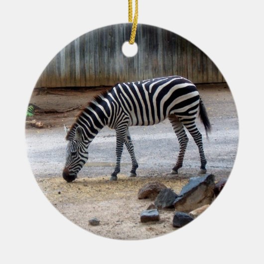 Zebra Ornament (Vorne)