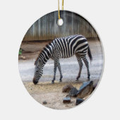 Zebra Ornament (Links)