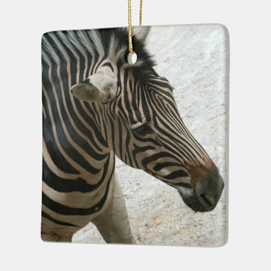 Zebra Ornament (Links)