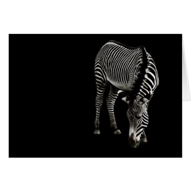 Zebra P4435 Card (Vorderseite (Horizontal))