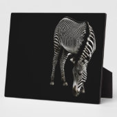 Zebra P4435 Fotoplatte (Seite)