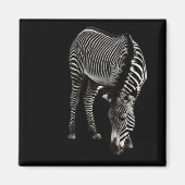 Zebra P4435 Magnet (Vorne)