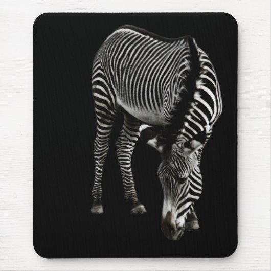 Zebra P4435 Mousepad (Vorne)