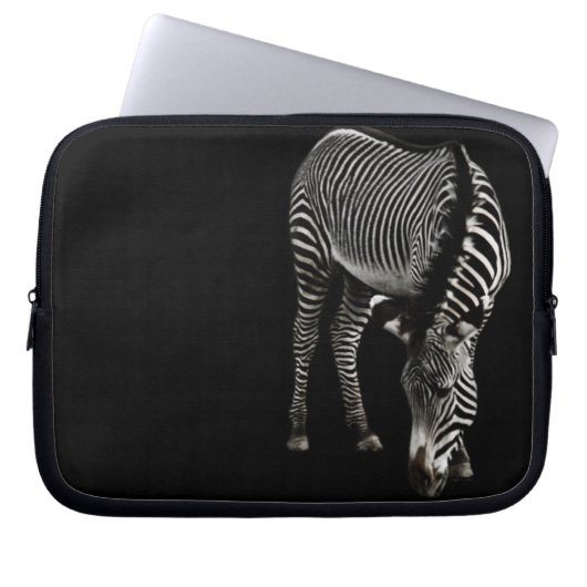 Zebra P4435 Notebook-Sieb Laptopschutzhülle (Vorderseite)