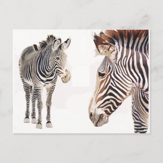 "Zebra Pair" Wasserfarbenwelt Kunst, Dichtung und  Postkarte (Vorderseite)