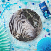 Zebra Pappteller (Party)