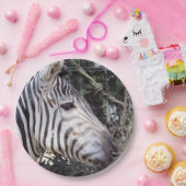 Zebra Pappteller (Party)