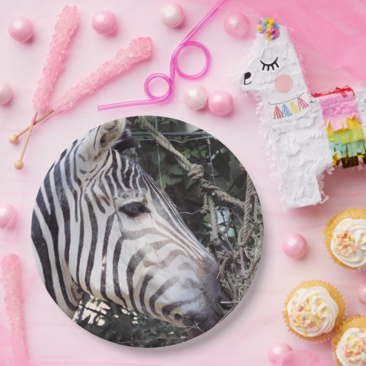 Zebra Pappteller (Party)