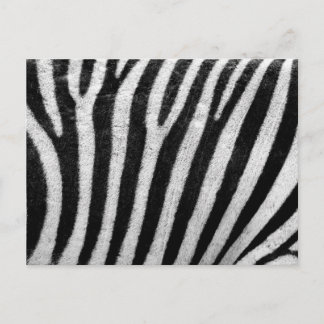 Zebra Pattern Postkarte