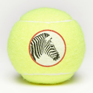 ZEBRA PENN 2 TENNISBALL TENNISBÄLLE