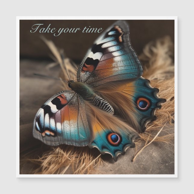 Zebra-Pfau-Schmetterling Nimm Dir Deine Zeit Magnetkarte (Vorderseite)