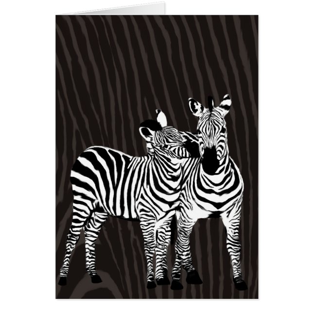 Zebra Play (Vorne)
