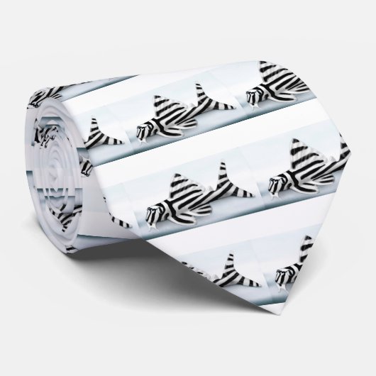 Zebra Pleco Krawatte (Gerollt)