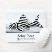 Zebra Pleco Mousepad (Mit Mouse)