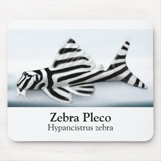 Zebra Pleco Mousepad (Vorne)
