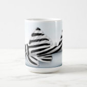 Zebra Pleco Tasse (Mittel)