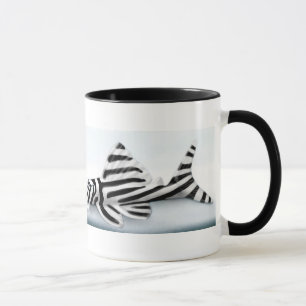 Zebra Pleco Tasse