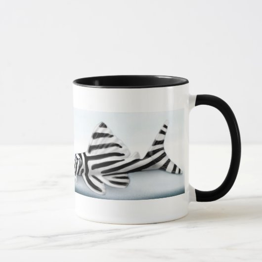 Zebra Pleco Tasse (Rechts)