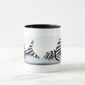 Zebra Pleco Tasse (Zentrum)