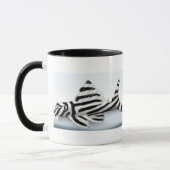 Zebra Pleco Tasse (Links)