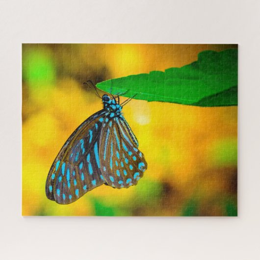 Zebra Polka Dot Butterfly. Puzzle (Horizontal)