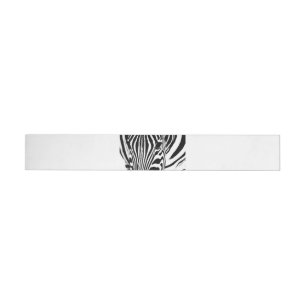 Zebra-Portrait schwarz-weiß